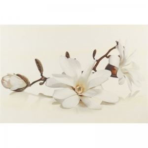 Декор Flora Magnolia