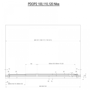 Душевая дверь PDOP 2-100