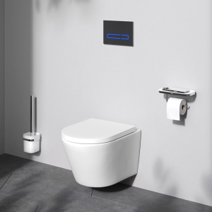 Чаша унітаза Flash Aquaspin з сидінням