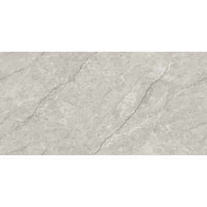 Грес Absolute Grey Endless Car