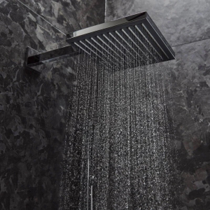 Верхний душ Pulsify