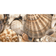 Декор Sea Breeze Shells-3