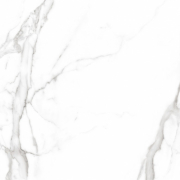Грес Carrara White F P R Mat