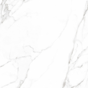 Грес Carrara White F P R Mat