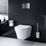 Чаша унитаза Tender FlashClean с сиденьем