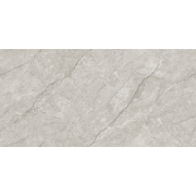 Грес Absolute Grey Endless Car