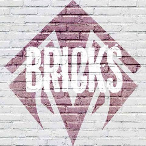 Monopole. Bricks 2016, part 1